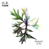 Yuan Mugwort (艾草) Classic Repairing Body Lotion